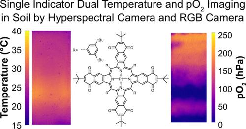 Simultaneous Imaging of Temperature and Oxygen by Utilizing Thermally Activated Delayed Fluorescence and Phosphorescence of a Single Indicator