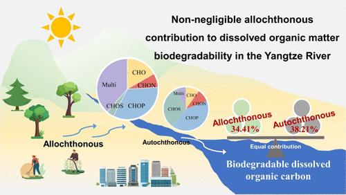 Non-Negligible Allochthonous Contributions to Dissolved Organic Matter Biodegradability in the Yangtze River