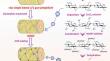 Denitration and nano-ZnO loading strategies to achieve high combustion progressivity, easy ignition and low ablation of the nitrocellulose-based propellant