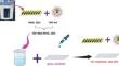 Revealing the structural and optical constant of the UiO-66 coated with MoS2 QDs