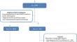 Cardiovascular risk and glucocorticoids: a Dutch National Registry of growth hormone treatment in adults with growth hormone deficiency analysis.