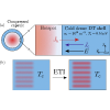 Electrothermal filamentation of igniting plasmas