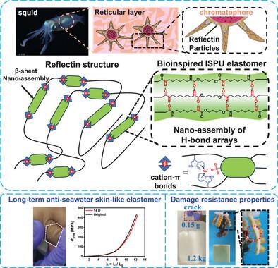 Squid-Inspired Anti-Salt Skin-Like Elastomers With Superhigh Damage Resistance for Aquatic Soft Robots