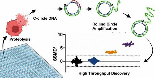 A First-in-Class High-Throughput Screen to Discover Modulators of the Alternative Lengthening of Telomeres (ALT) Pathway