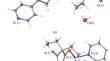 2D Coordination Polymers of Zn(II) with Diethylmalonic Acid Dianions and 4,4'-bipyridine: Synthesis and Structure