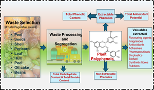 Sustainable utilization of fruit and vegetable waste for the extraction of phenolics, antioxidants, and other valuables