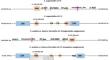 Characterization and functional validation of a genomic region involved in resistance to rust race II in Coffea arabica