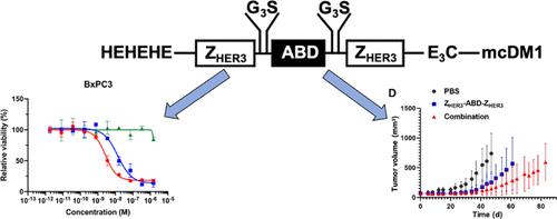 Affibody-Drug Conjugates Targeting the Human Epidermal Growth Factor Receptor-3 Demonstrate Therapeutic Efficacy in Mice Bearing Low Expressing Xenografts