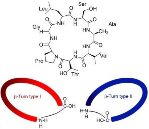 Total Synthesis of Cyclosenegalin A.