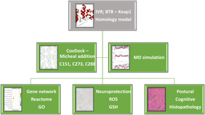 Gene network analysis combined with preclinical studies to identify and elucidate the mechanism of action of novel irreversible Keap1 inhibitor for Parkinson's disease.