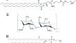 Design optimization of Fucoidan-coating Cationic Liposomes for enhance Gemcitabine delivery.