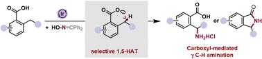 Radical cascade synthesis of γ-amino acids or γ-lactams via carboxyl-mediated intramolecular C–H amination†