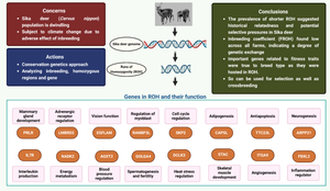 Insights from homozygous signatures of cervus nippon revealed genetic architecture for components of fitness.