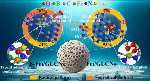 Enhanced Selectivity in PMS Activation via Non-Metal Doping for Efficient 1O2 Generation in Emerging Organic Pollutants Degradation