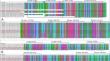 Development of a loop-mediated isothermal amplification technique for sex detection in Cervidae species