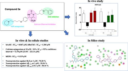 Discovery of New Highly Potent Histamine H<sub>3</sub> Receptor Antagonists, Calcium Channel Blockers, and Acetylcholinesterase Inhibitors.