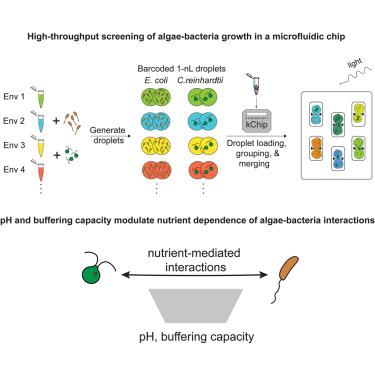 Environmental modulators of algae-bacteria interactions at scale.