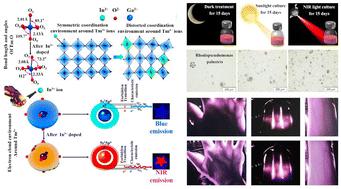 Unlocking non-characteristic near-infrared emission of rare earth ions for photosynthetic bacteria cultivation and vein imaging applications†