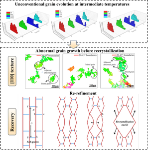 Recovery-Assisted Abnormal Grain Evolution of Selective Laser-Melted 316L Stainless Steel at Intermediate Temperatures