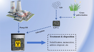 Fabrication of graphene-plant fiber hybrid aerogel and its application for treatment of tritiated pump oil