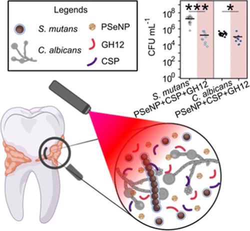 Cocktail Approach with Polyserotonin Nanoparticles and Peptides for Treatment of <i>Streptococcus mutans</i>.