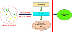 Tunable structural, optical and bioactive properties of magnesium and bismuth co-doping on bioactive glass nanoparticles for biomedical applications