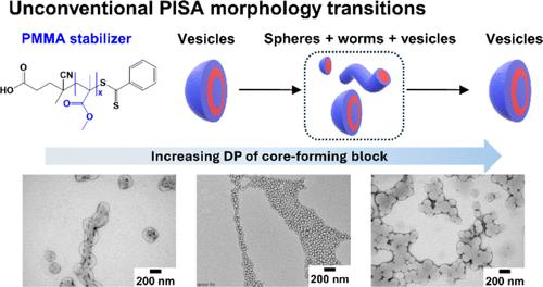 RAFT Dispersion PISA with Poly(methyl methacrylate) as Stabilizer Block in Alcohol/Water: Unconventional PISA Morphology Transitions.