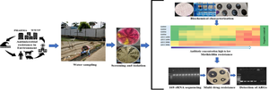 Prevalence and molecular characterization of multidrug-resistant coagulase negative staphylococci from urban wastewater in Delhi-NCR, India