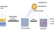 Protein-based Emulsion Hydrogels and Their Application in the Development of Sustainable Food Products.