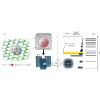 Simulating optically active spin defects with a quantum computer