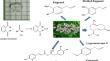 Optical and structural characterization of chemical components of Calotropis procera on semi-organic single crystal