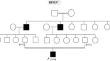 Splice-altering variant of PJVK gene in a Mauritanian family with non-syndromic hearing impairment.