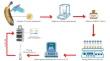 Characterization of mycotoxins produced by two Fusarium species responsible for postharvest rot of banana fruit