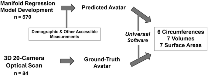 Accurate prediction of three-dimensional humanoid avatars for anthropometric modeling.