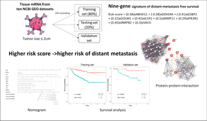 Hub metastatic gene signature and risk score of breast cancer patients with small tumor sizes using WGCNA.