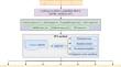 Prediction of Solubility of Proteins in Escherichia coli Based on Functional and Structural Features Using Machine Learning Methods.