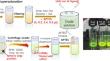 Improvements in Photoluminescence Efficiency and Stability of CsPbBr3 Nanocrystals Through 3-Aminopropyltriethoxysilane Treatment