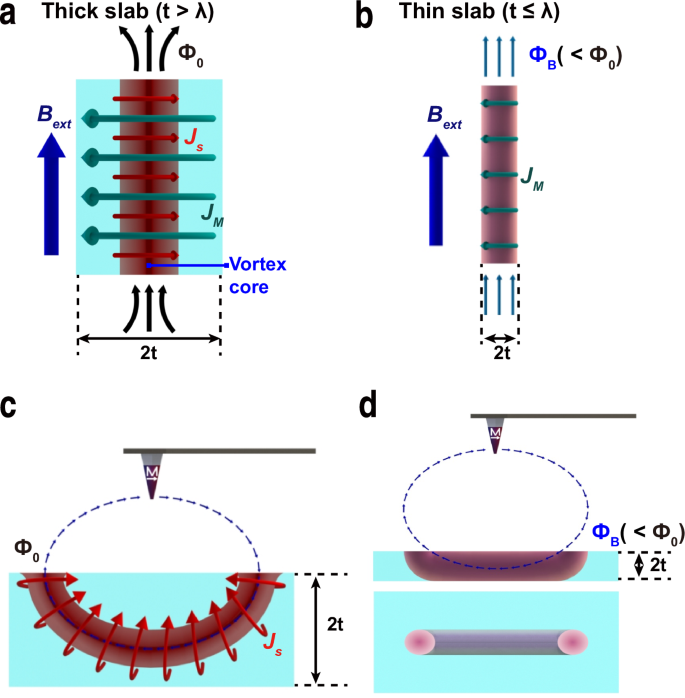 Vortex confinement through an unquantized magnetic flux