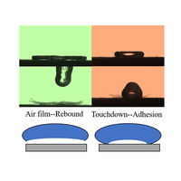 Rebound dynamics of inverse Leidenfrost droplets on dry ice surfaces