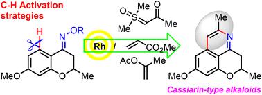 A rhodium-catalyzed C-H activation/cyclization approach toward the total syntheses of cassiarin C and 8-<i>O</i>-methylcassiarin A from a common intermediate.