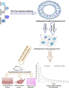 In Vitro and in vivo characterization of nasal pH-Responsive in-situ hydrogel of Candesartan-loaded invasomes as a potential stroke treatment