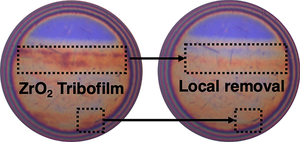 Competition Between Growth and Removal in Zirconia Nanocrystal-Derived Tribofilms: The Role of Co-additives