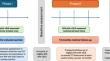 Active implementation of low disease activity state as a treatment endpoint in childhood-onset systemic lupus erythematosus in routine practice is both feasible and associated with better outcomes.