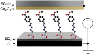 Temperature dependence of charge transport in molecular ensemble junctions