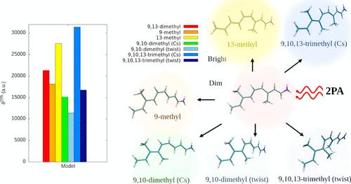 Tuning Two-Photon Absorption in Rhodopsin Chromophore via Backbone Modification: The Story Told by CC2 and TD-DFT