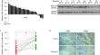 Downregulation of RNF128 Inhibits the Proliferation, Migration, Invasion and EMT of Colorectal Cancer Cells.