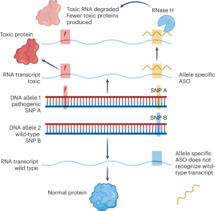 Advancing ASO therapies from development to implementation