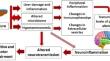 Role of peripheral inflammation in minimal hepatic encephalopathy.