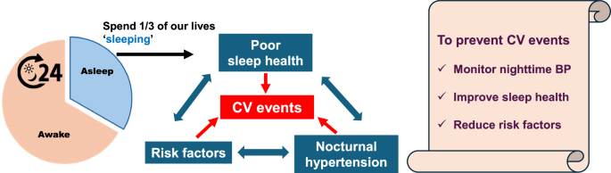 Sleep and hypertension - up to date 2024.