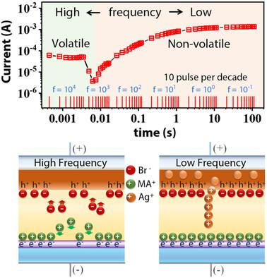 Decoupling Volatile and Nonvolatile Response in Reliable Halide Perovskite Memristors